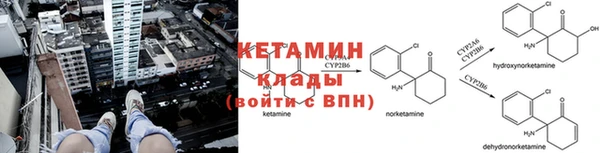 СК Бронницы