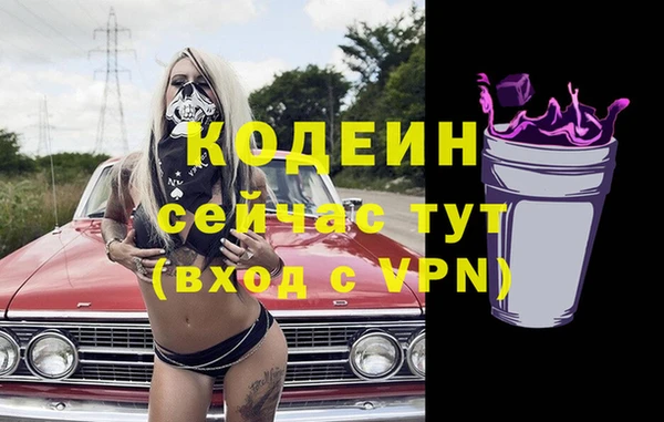 СК Бронницы