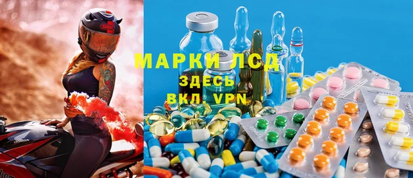 бошки Бородино