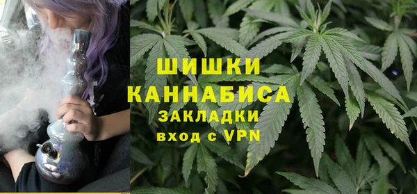 бошки Бородино