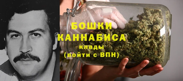 СК Бронницы