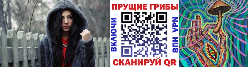 Купить  Чехов  Галлюциногенные грибы мухоморы 